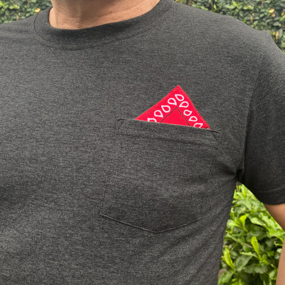 Camiseta PAÑUELO TIPICO
