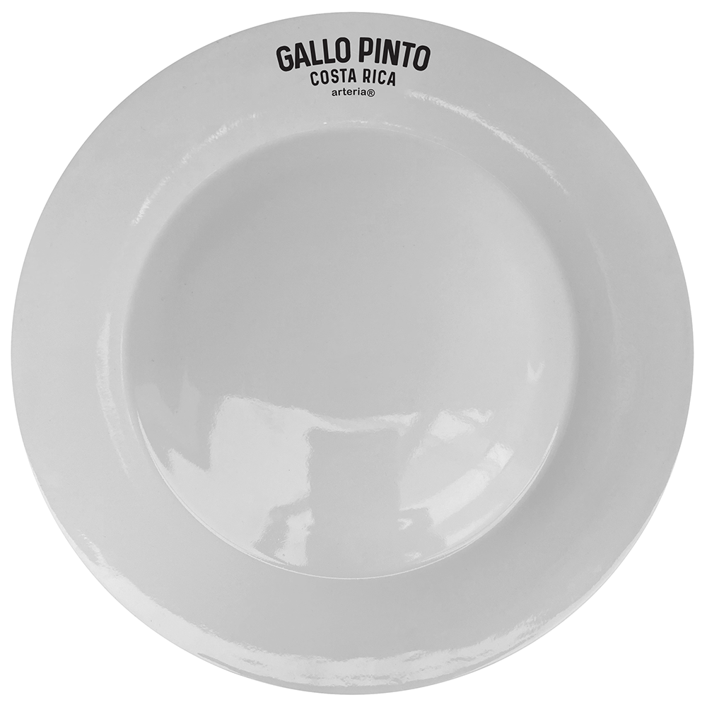 Plato GALLO PINTO